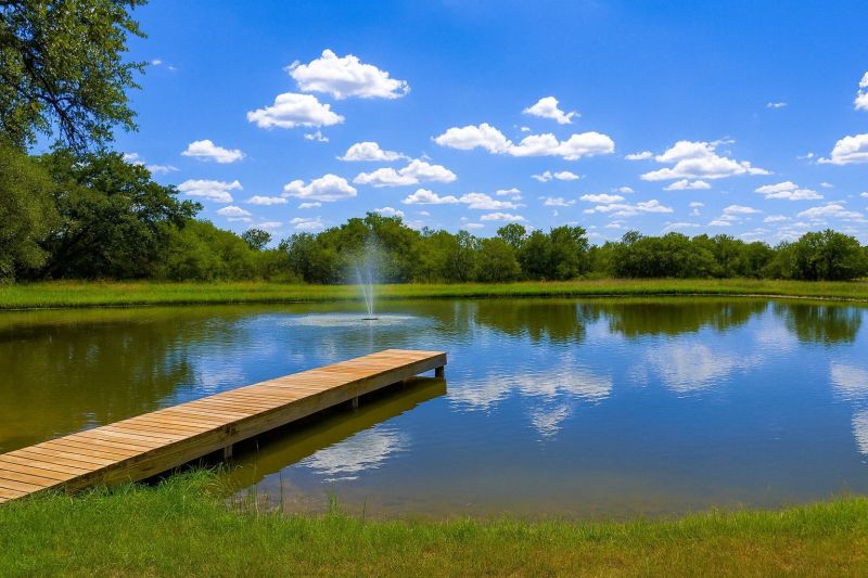 Local Shrubs Removal in Spicewood, TX