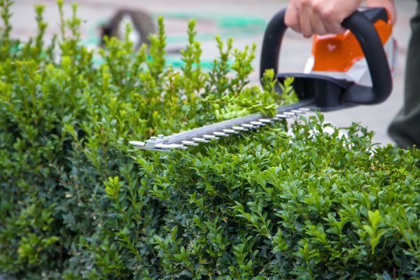 Hedge Pruning Service
