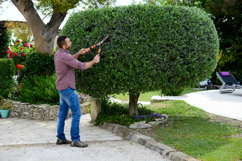 Local Bush Pruning in Austin, TX