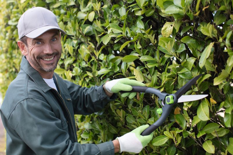 Local Hedge Pruning in Leander, TX