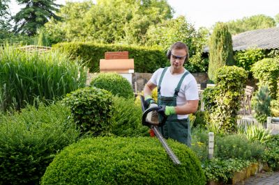 Local Hedge Trimming in Smithville, TX