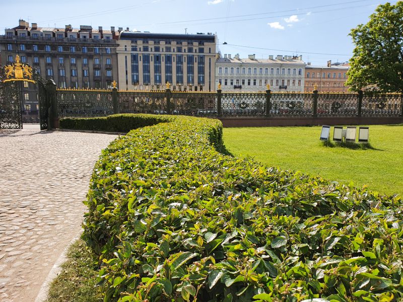 Local Shrub Shaping in Hutto, TX