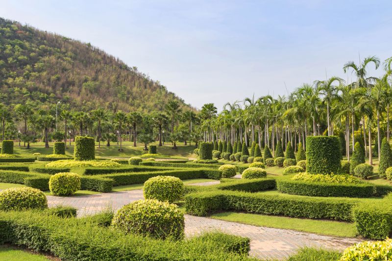Trimmed Shrubs in a Garden
